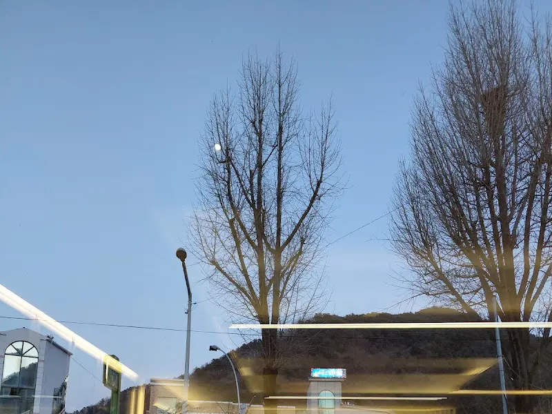 카페 외부 풍경