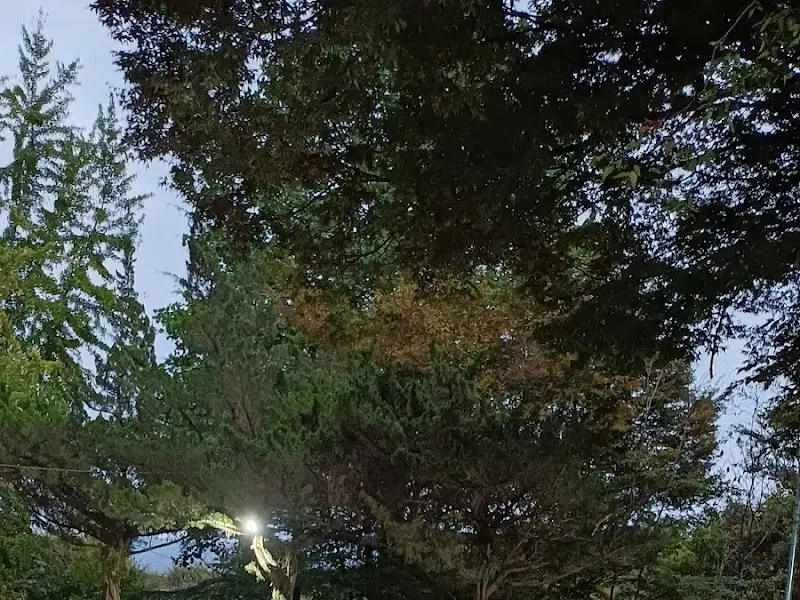 푸르른 나무가 우거진 아리랑가든