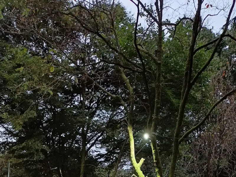 밤에도 운치있는 아리랑가든 풍경