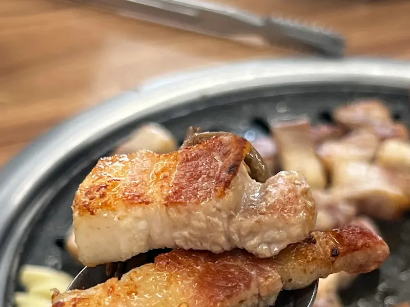 잘 익은 고기 한 점