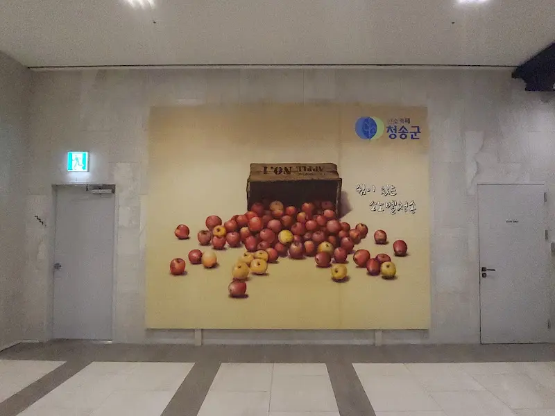 청송 사과 그림