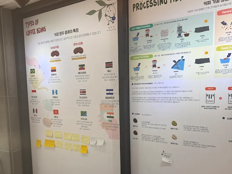 커피 품종 안내