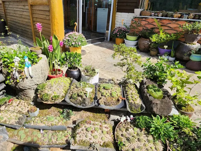 식당 입구의 다육식물과 정겨운 풍경