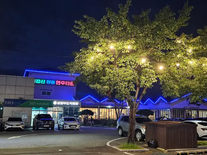 조명이 켜진 나무와 주차된 차량들