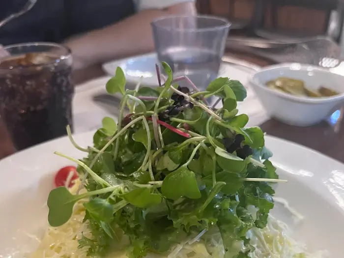 신선한 채소 샐러드