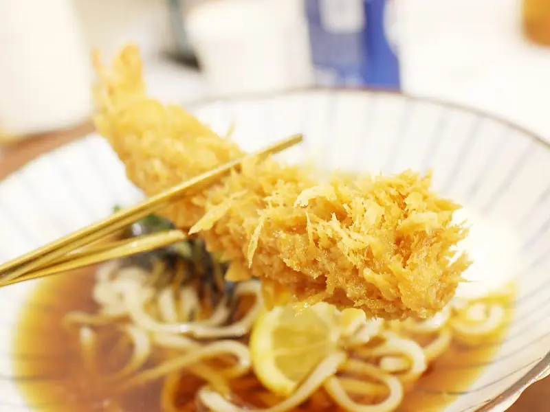 백소정 에비텐 붓가케우동