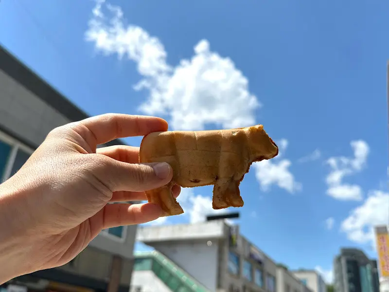 손에 들린 한우빵