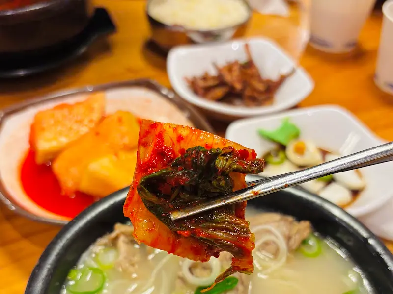설렁탕과 김치