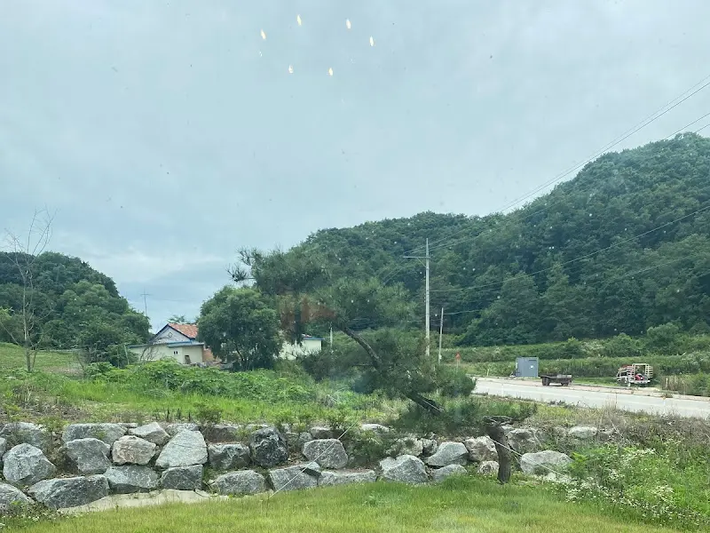 쌀롱에서 바라본 철원의 아름다운 풍경. 푸르른 자연이 눈을 시원하게 해준다.