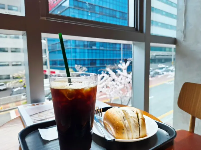 창밖으로 보이는 벚꽃 풍경