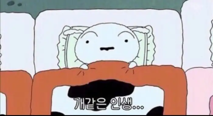 아늑한 내부 공간