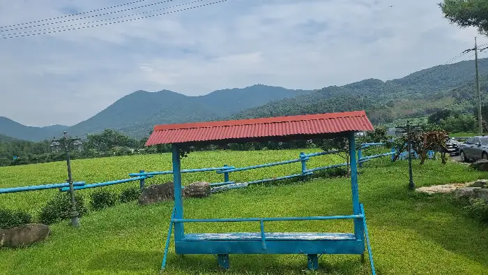 카페 앞 풍경