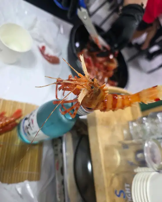 독도새우가 담긴 접시와 소주병
