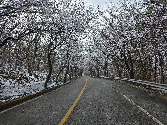 눈 덮인 도로 풍경