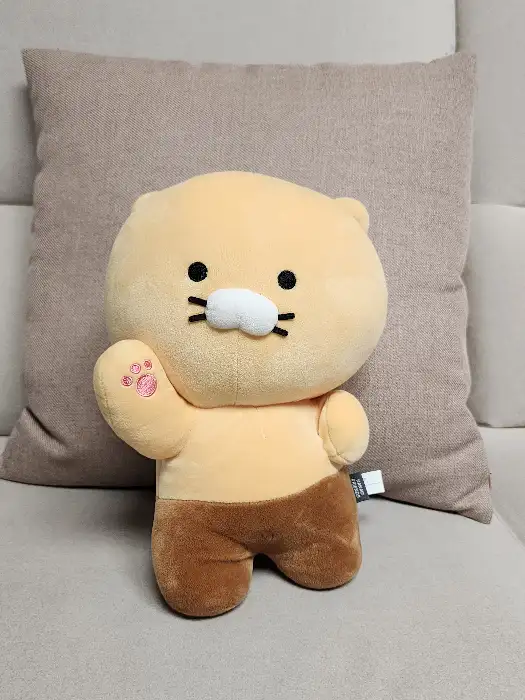 식당 내 귀여운 오리 인형