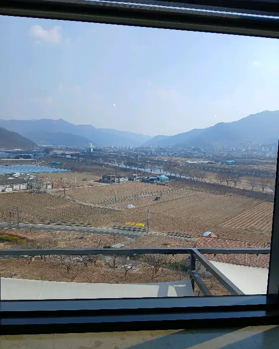 돈까스와 오므라이스