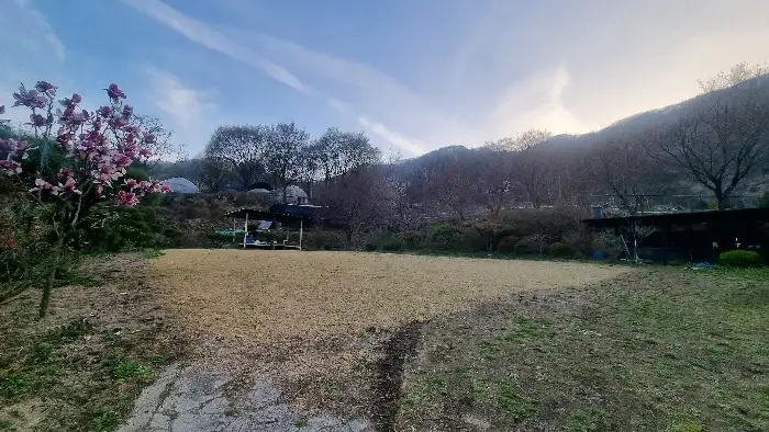 아름다운 정원 풍경