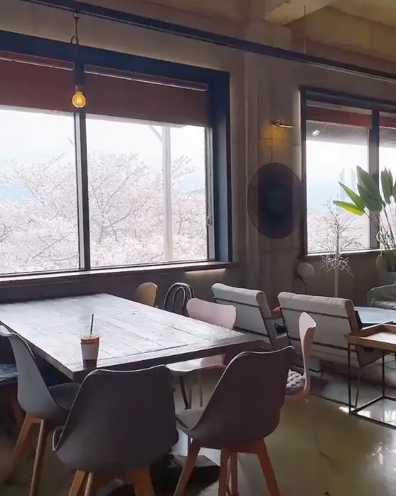 창밖으로 보이는 벚꽃 풍경과 테이블