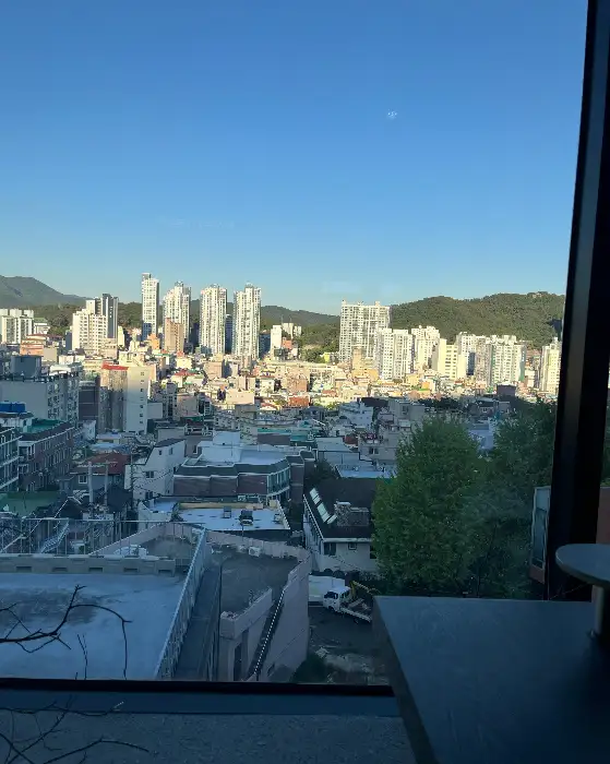 도시 풍경이 보이는 창밖 뷰