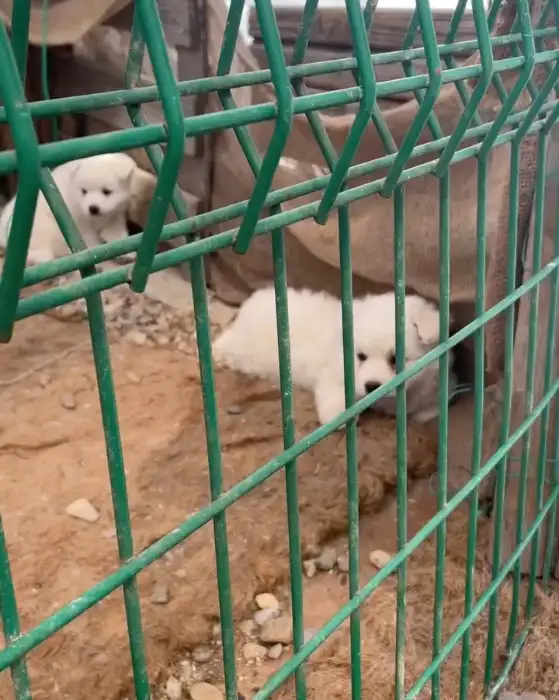 카페 포내리 실내 공간