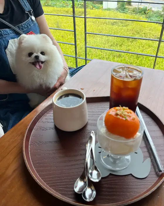 아이스크림과 커피