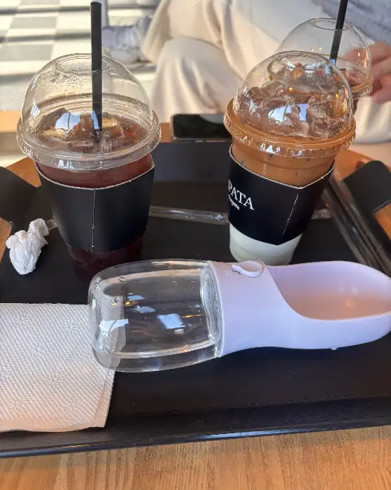 아이스 음료와 커피