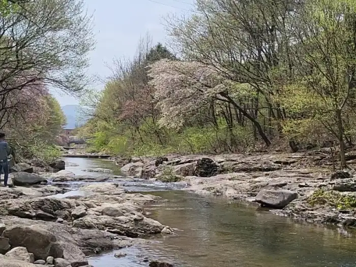 식당 주변의 계곡 풍경