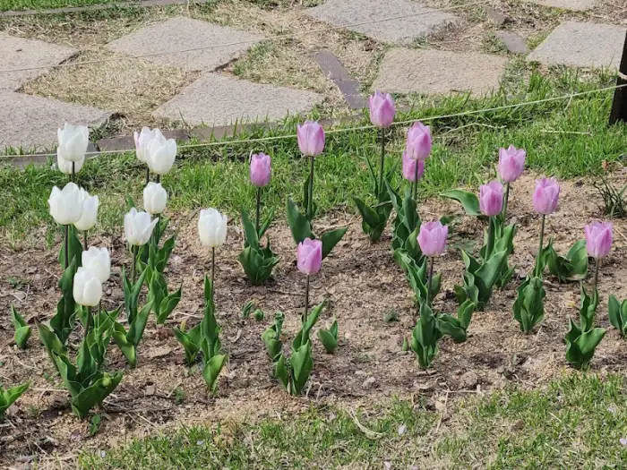 아이스 아메리카노 두 잔