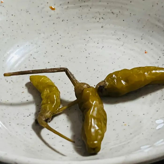 청양고추