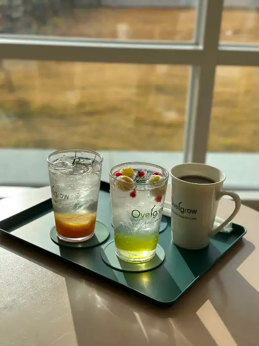 영필드 음료와 커피