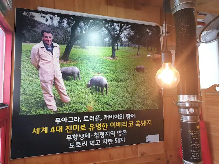 이베리코 돼지 사진