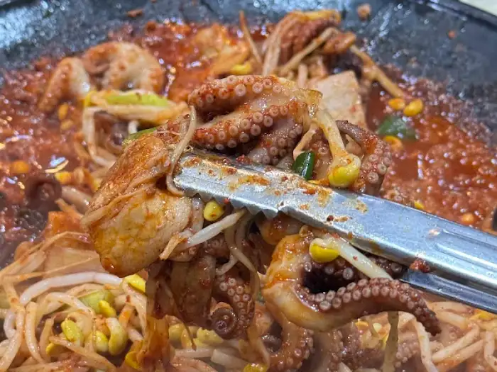 집게로 집어 올린 쭈꾸미