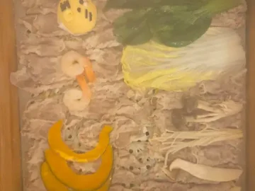 우리 동네 맛집 ‘편백회관’, 정성 가득한 밥상에 고향의 맛을 담다