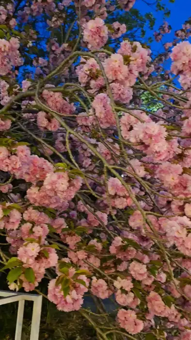 밤에 조명이 켜진 카페 외관