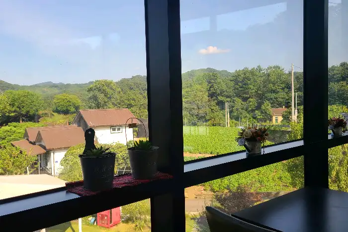 카페 창밖으로 보이는 풍경