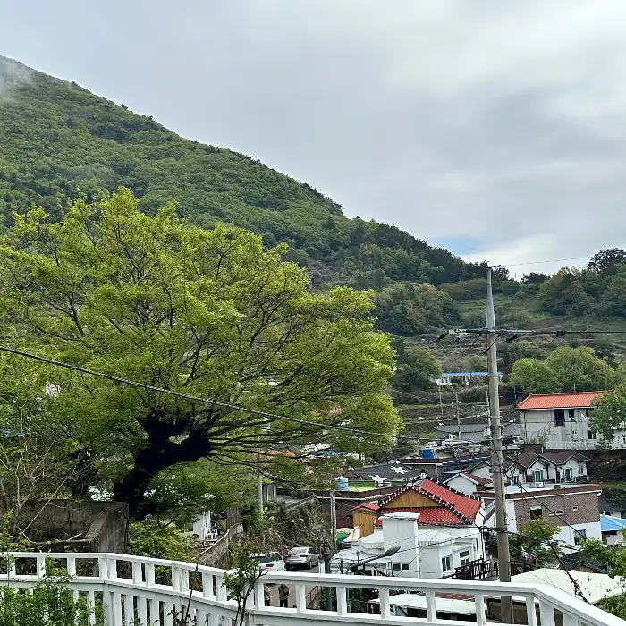 초록빛 언덕과 마을이 보이는 풍경