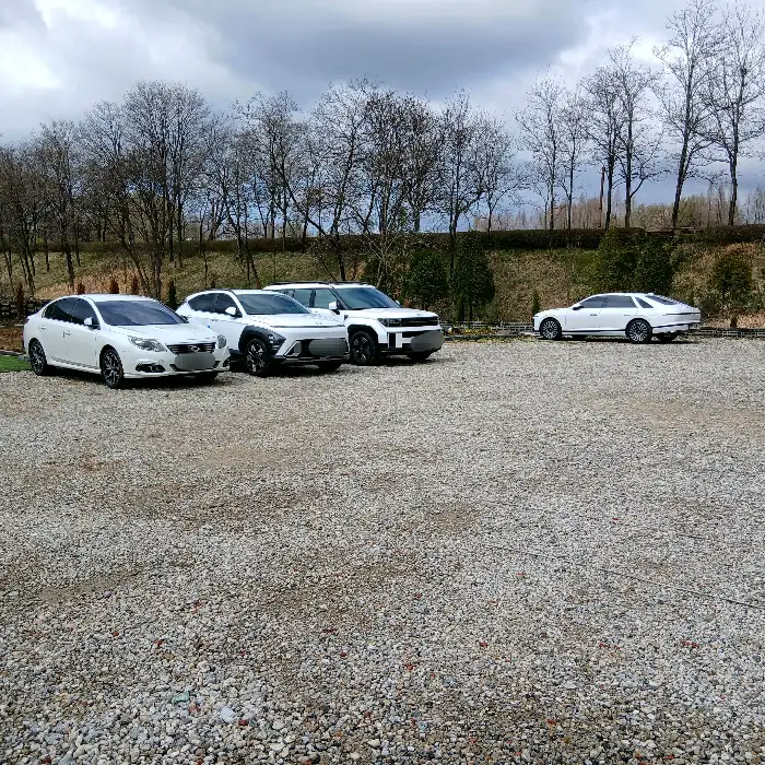 고품질의 라떼 아트가 돋보이는 커피