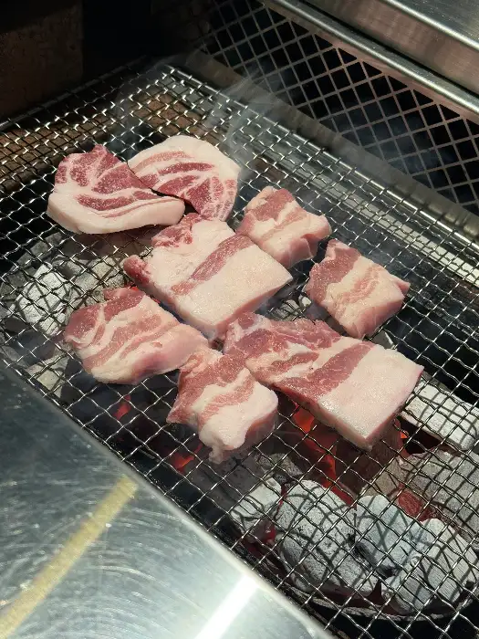 숯불 위에서 익어가는 고기 조각들 옆에 양념된 더덕구이가 함께 놓여 있는 모습