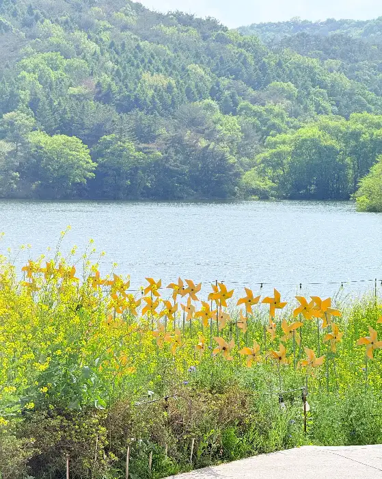 잔잔한 호수와 푸른 산, 그리고 바람개비가 있는 풍경