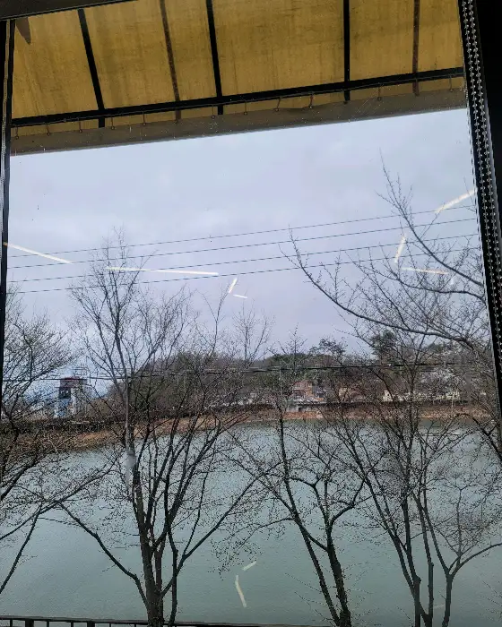 창밖으로 보이는 앙상한 나뭇가지와 흐린 하늘