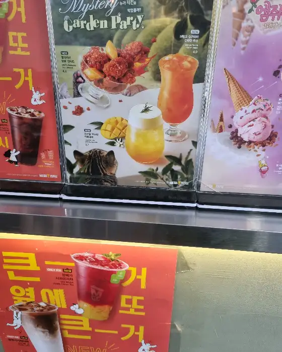 메가커피 메뉴 판 사진