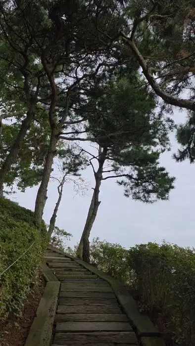 운치 있는 산책로