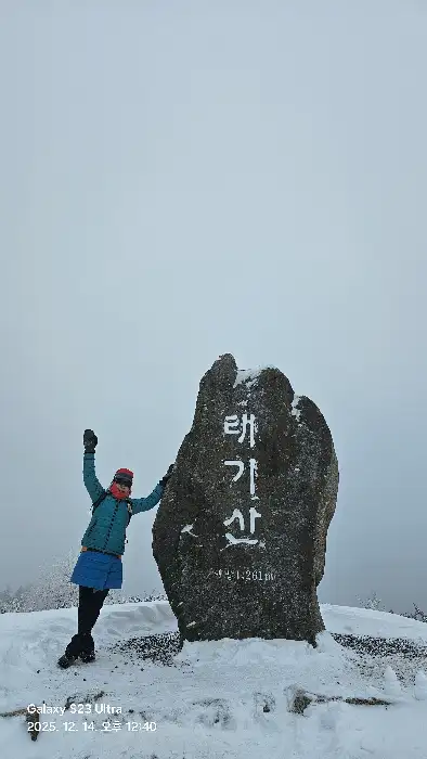 진한 대추차