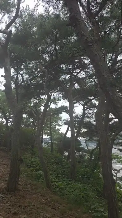 바다로 이어지는 산책로
