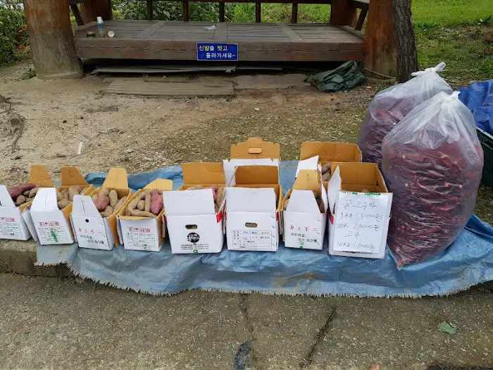 바삭하게 구워진 버섯 부침개는 노릇한 색감을 띠고 있다. 큼직하게 썰린 버섯 조각들이 부침개 속에 넉넉히 들어 있어 먹음직스럽다.