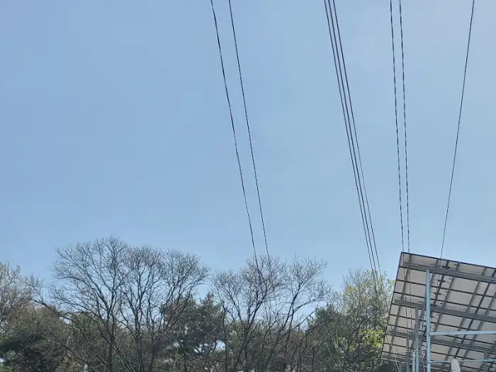 셀프바와 함께 제공되는 푸짐한 밑반찬