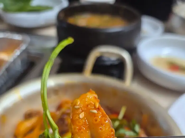 쭈꾸미 확대 샷