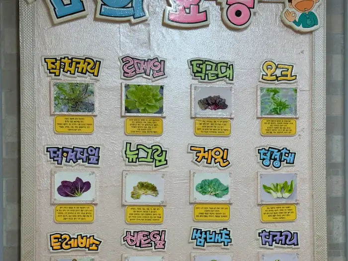 다양한 쌈 채소 종류를 소개하는 메뉴판