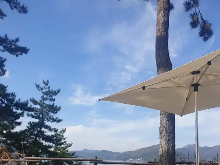 파란 하늘 아래 펼쳐진 드넓은 바다와 우뚝 솟은 소나무, 그리고 야외 파라솔