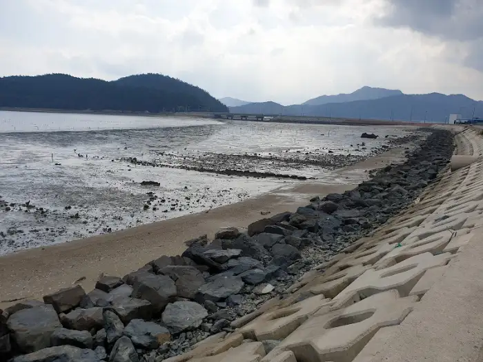 갯벌과 바위, 그리고 파도 방지 시설이 보이는 해변 풍경